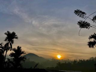 Ella Green Shelter - 0