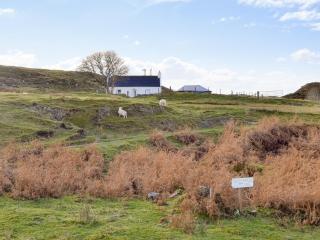 Waterfall Cottage - 3