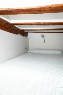 Louro Salina - 3