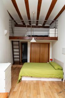 Louro Salina - 5