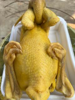 Thu farm homestay - 7