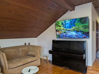 Terrace & Piano in Sesvete - 1