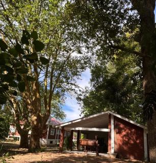 Isla Chita - Tigre - 2