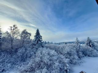 Plešivec - TREE - 8