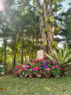 Gardenia 29 - Raichak - 7