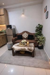 1 BHK Apartment Wifi-AC-Netflix-E11 - 9