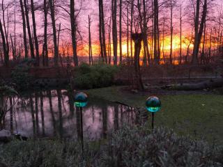 See-Haus, Arboretum & Sauna am Plessower-See - 7