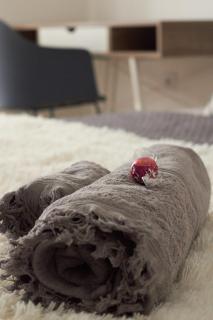 Sopianae Apartments - 7