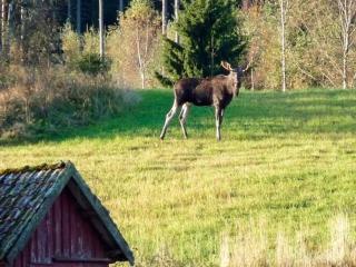 6 person holiday home in HUNNEBOSTRAND - 4
