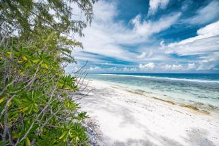 Cottage Te Hono Vai - 1