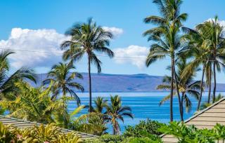 Wailea Ekahi Village - CoralTree Residence Collection - 7