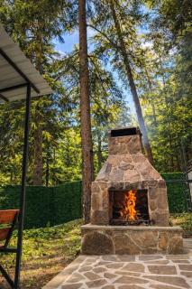 Hotel forest echo - Borjomi - 1