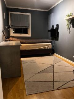 Liten kjellerleilighet i rolig boligfelt - 3