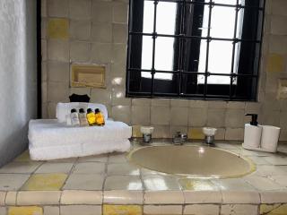 Villa Colonial Boutique Siglo XIX Coyoacán - 8