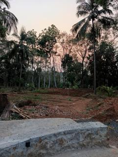 retreat at gaya3farms - 9