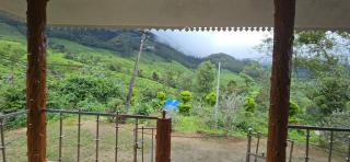 Jungle stay tent and cottage - 2