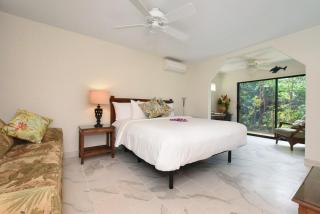Wailea Ekahi 49A - 9
