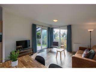 Chalet in Vrouwenpolder near Banjaard Beach - 1