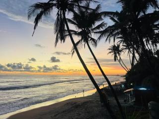 Pearl Kingdom Hotel & Resort - 9