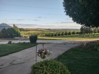 Theater • Pool Table & Games • Balcony - 7