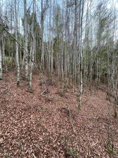 Habitación doble en casa de campo - 2