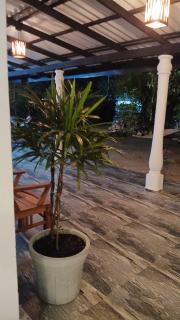 Serenity Haven Villa - 5