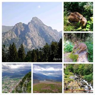 Casa della musica - 7