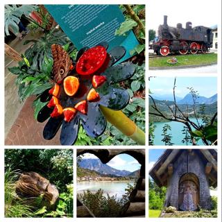 Casa della musica - 8