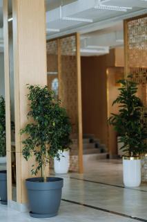 Grand Altyn Hotel - 5