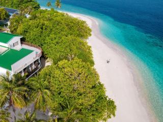 Thundi by Biosphere - 0