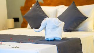 Vilona Nature Villa - 1