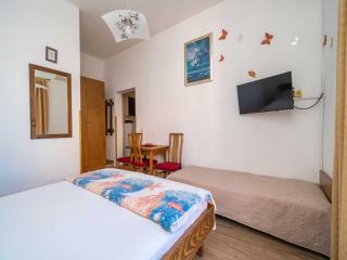 Apartments Senjo - Studio Apartment with Balcony with Sea View Apartman 4 - 6