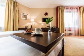 Hotel Victor Pruszków DeSilva - Pruszków - 7