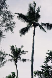 Decoco Canal-side Homestay - 6