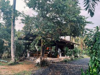 Decoco Canal-side Homestay - 3