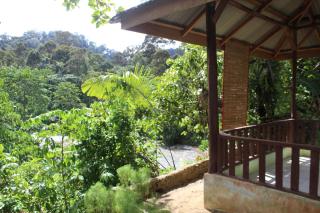 Bukit Lawang Backpacker JungleTrekking Only Booking with us - 4