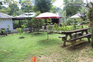 Bukit Lawang Backpacker JungleTrekking Only Booking with us - 5