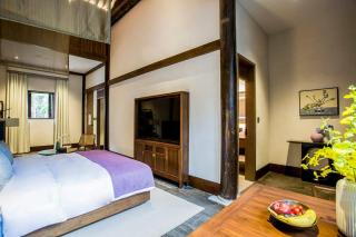 Blossom Hill Nanjing Laomendong - Zhuqueli - 5