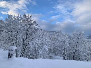 Le cocon de St Sauveur - 3
