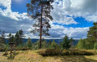 Gorgeous Home In Dølemo With House A Mountain View - 8