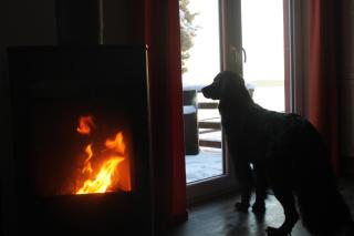 Ferienhaus Beeskow - 1