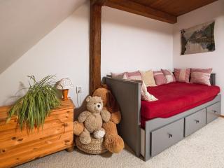 Růžová chalupa u Šimánků - 7