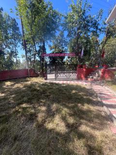 Navya Homestay and Restaurant - 7