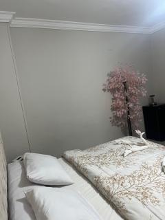 Farid pyramids inn - 1