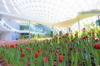 SCN Resort and Spa - 1