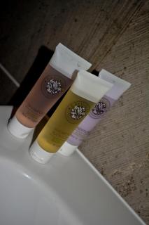 The Ugly Duckling - Telford - 2