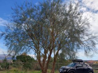 Il Calice dell'Etna - 8