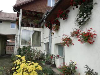 Vila Nely - Rîşnov - 1