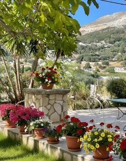 The Kefalonian Divarata House - 6