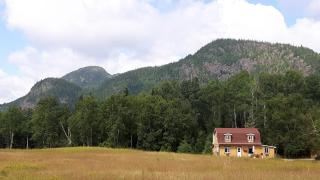 Grangette Entre Chiens et Loups - 2